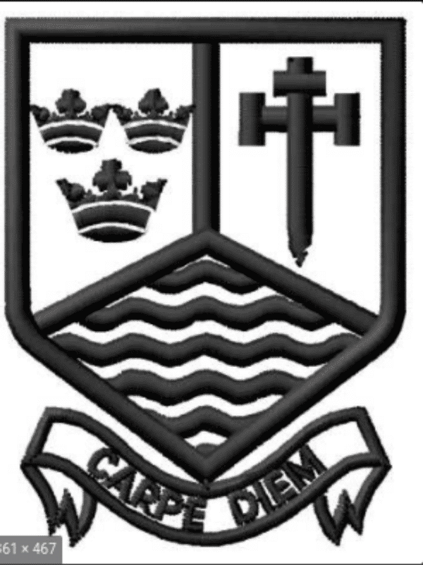 Marden High Y9 badge