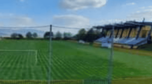 FK JUNIOR Kanianka badge