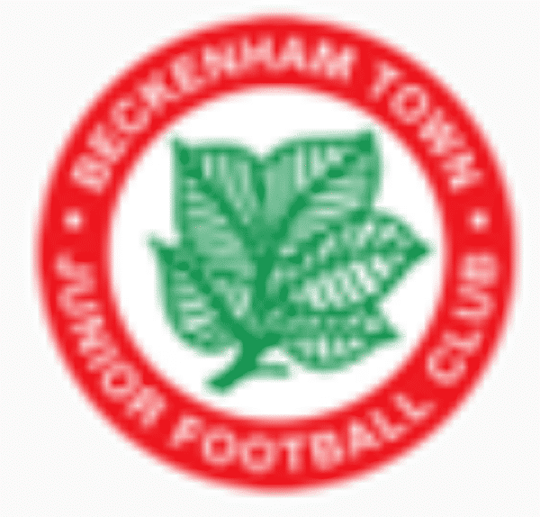 Beckenham Town U16 Blues badge