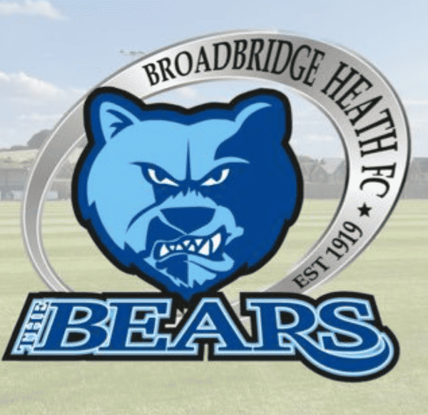 Broadbridge Heath badge