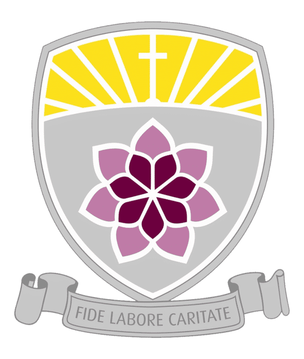 CHCS Y11 FC badge