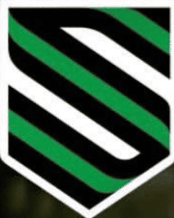 Sagesse 2008 badge
