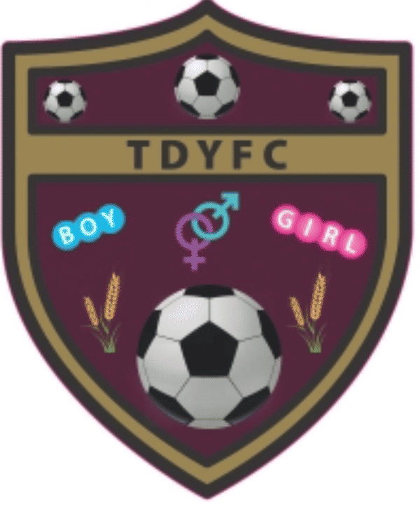 Tendring Youth Boys U15 badge