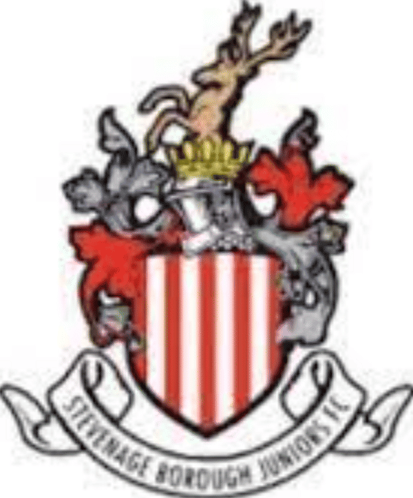 Stevenage Borough Juniors U16 Giants badge