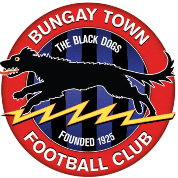 Bungay Town Under 8s badge