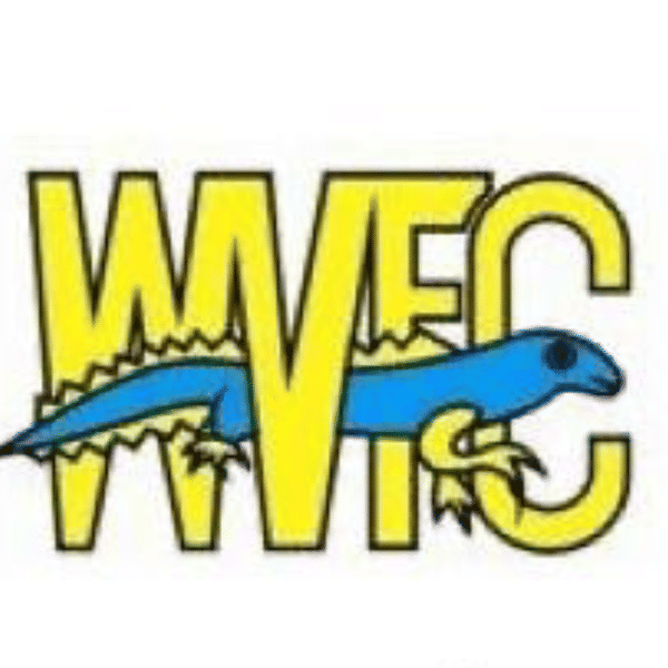 Warndon Villages Youth U14 Wolves badge