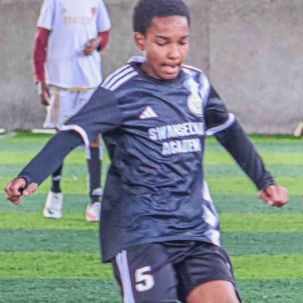 Swanselona City badge