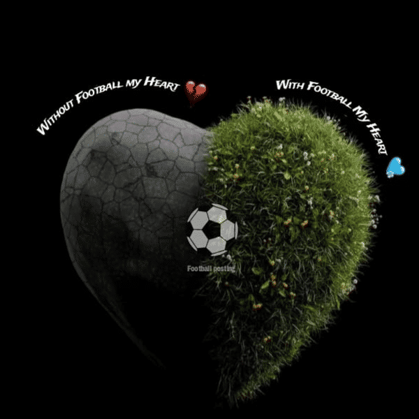 Rising Star FC badge