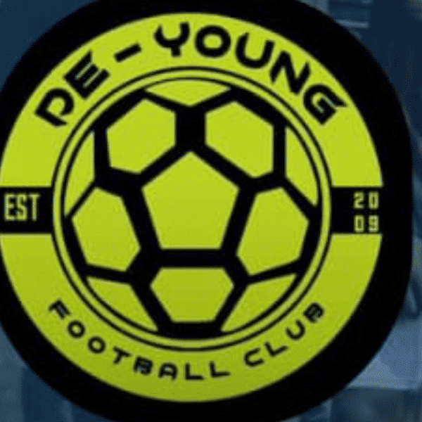 DE YOUNG FOOTBALL CLUB badge