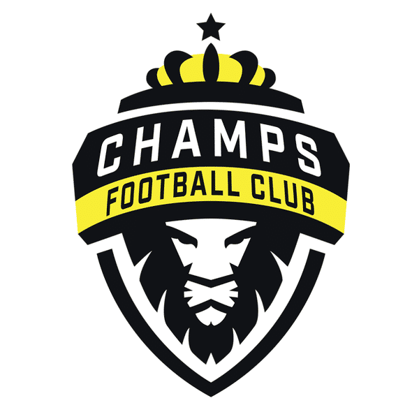 Champs U8 Lions badge