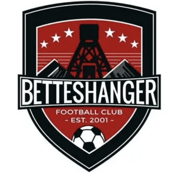 Betteshanger U13's Vipers badge
