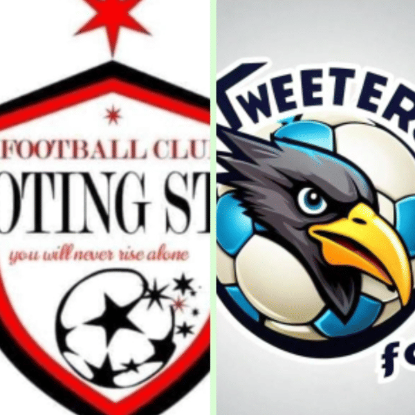 Shooting Stars Football Club badge