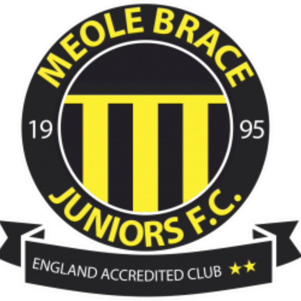Meole Brace Eagles badge