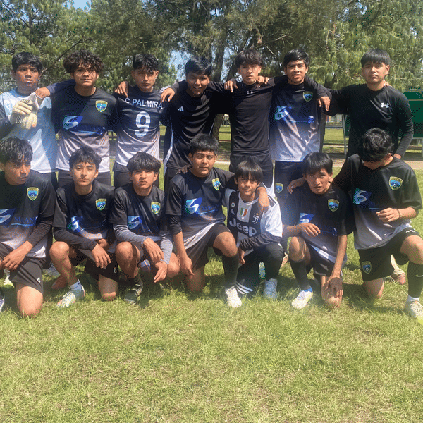 Palmira Intermedia badge