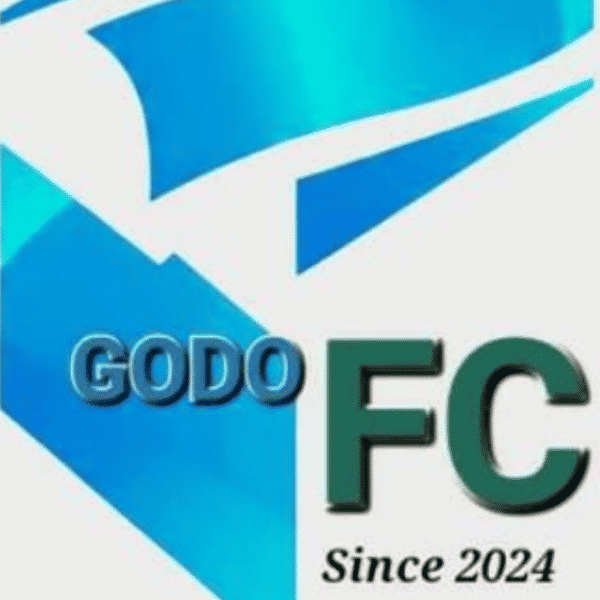 GODO SPORTING CLUB badge