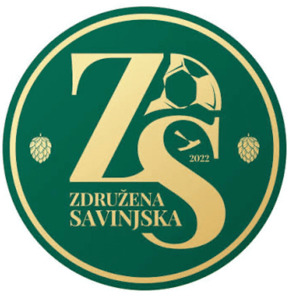 ZS Kadeti badge