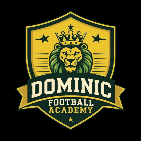 DOMINIC FOOTBALL ACADEMY badge