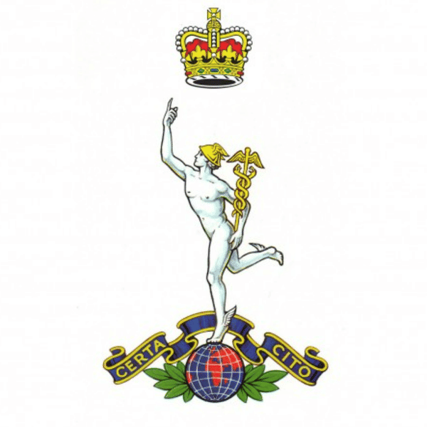 16 SIGNAL REGIMENT badge