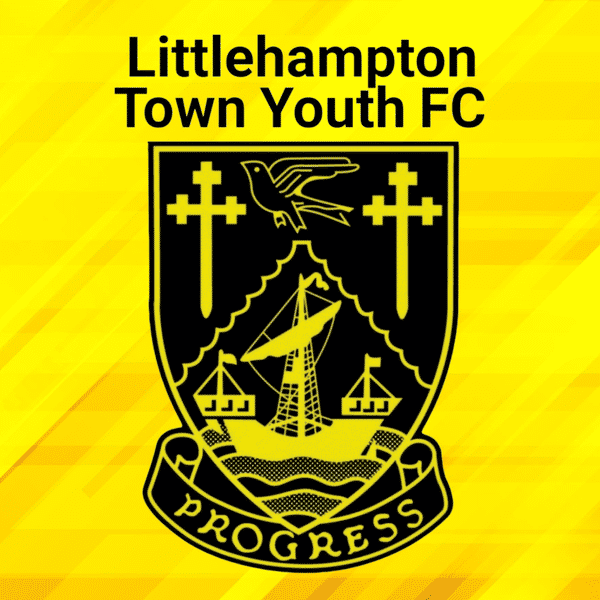 LTYFC U15 WHITES badge