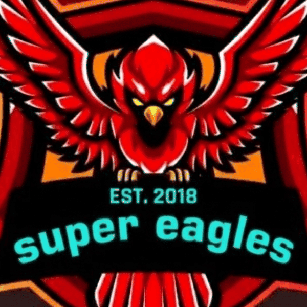 SUPER EAGLES badge