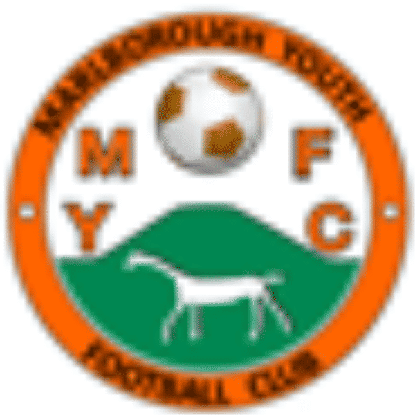 Marlborough Youth Mavericks U12 badge
