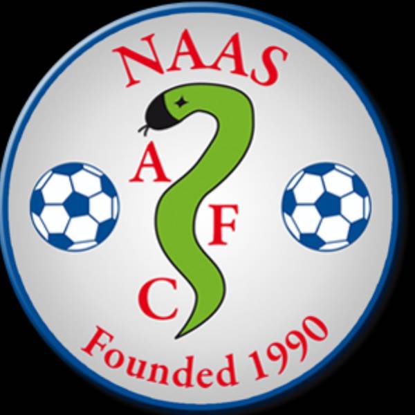 Naas AFC (Whites) badge