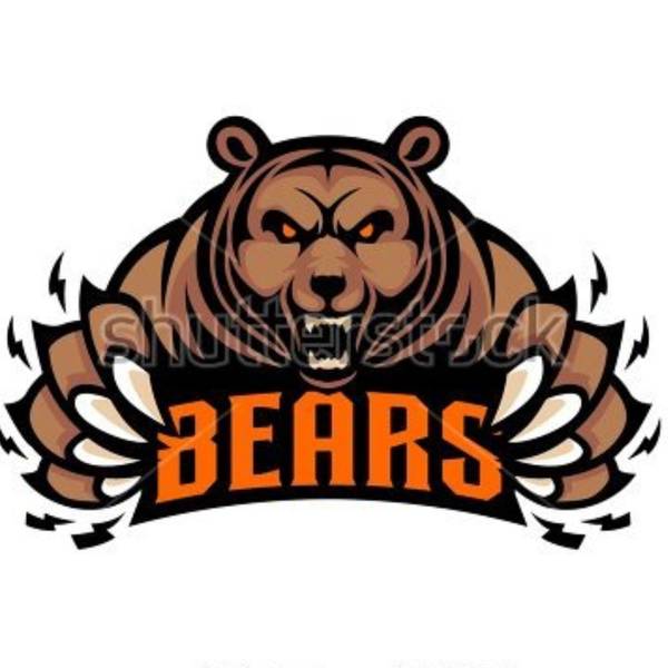 North Wellington Bears badge