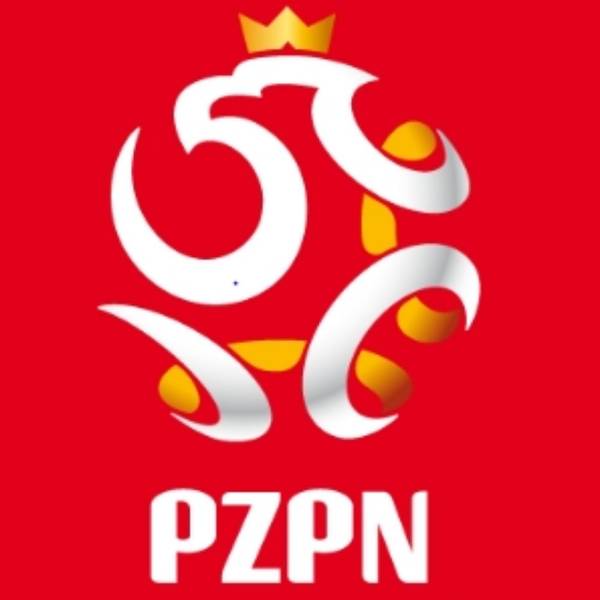 Polish National Team badge