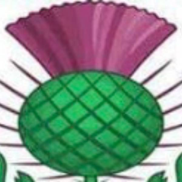 Weddington U-18 badge