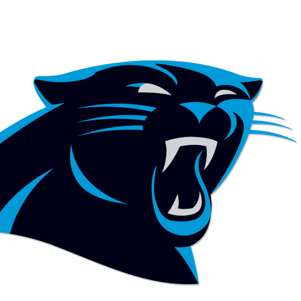 City Colts FC Panthers badge