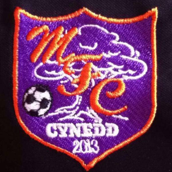Maesyrhandir Football Club badge