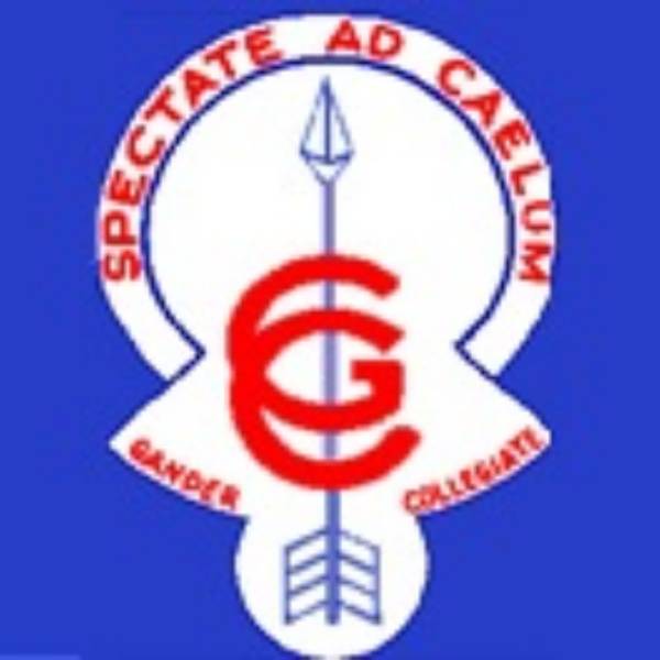 Gander Collegiate Boys Soccer badge