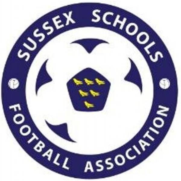 U12 Sussex School badge