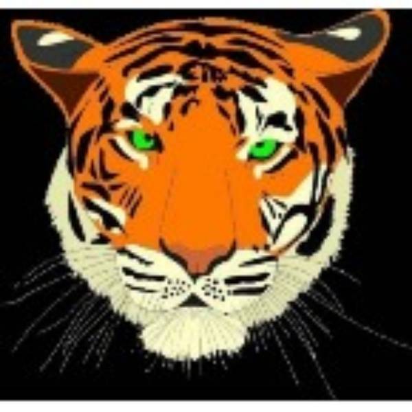 Parklands Tigers Black badge