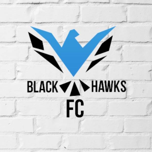 Black Hawks FC badge
