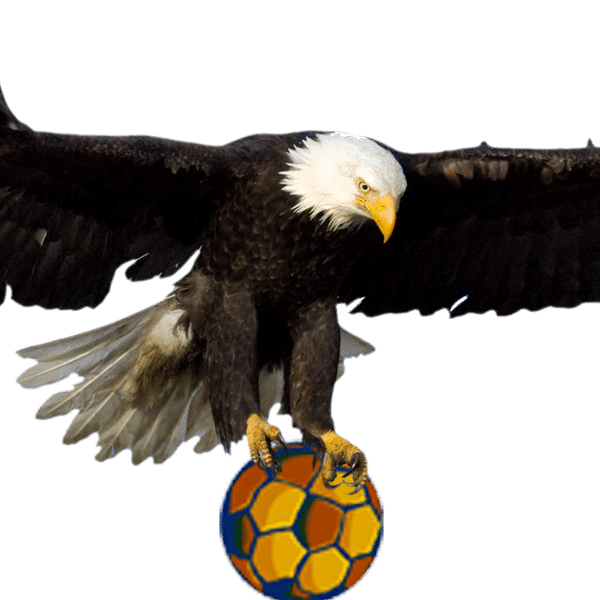 Eagle FC badge