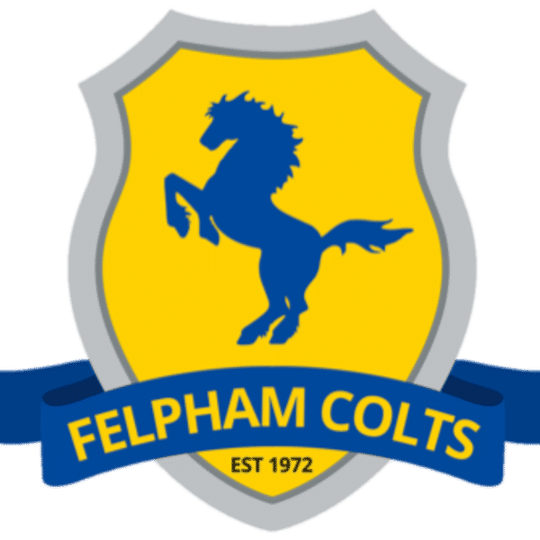 Felpham Colts U10 Yellow badge