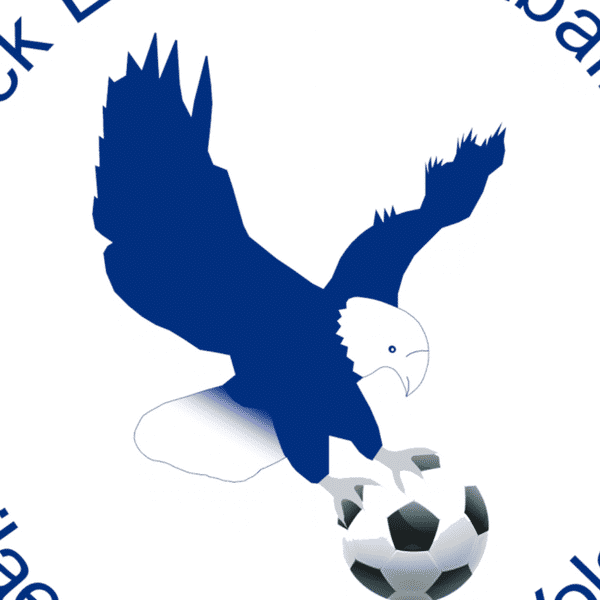 Flitwick Eagles U14s Saturday badge