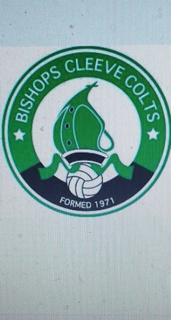 Bishops Cleeve Colts U9's badge