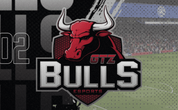 Nplay GTZ BULLS badge