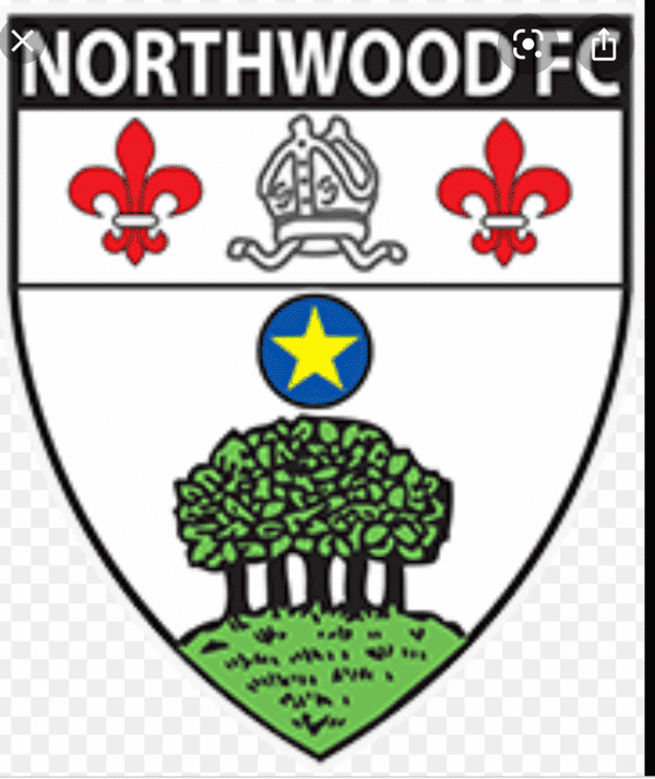Northwood U11 Reds badge