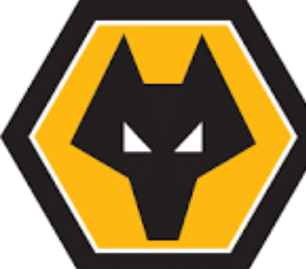 WOLF PARK FOOTBALL CLUB badge