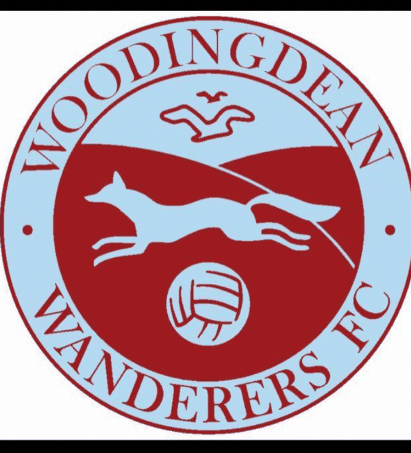 Woodingdean Wanderers Blue U11
