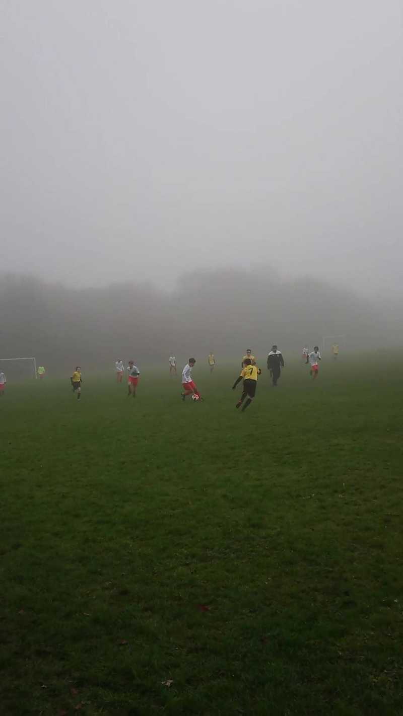 Another strong display