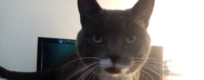 GET INTO THE GROOVE!!!