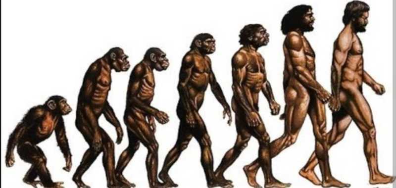 THE ORIGIN OF SPECIES!!!!