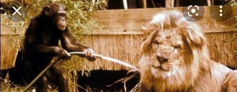 THE ROAD TO ZANZIBAR!!!