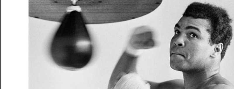 THE RUMBLE IN THE JUNGLE!!!!