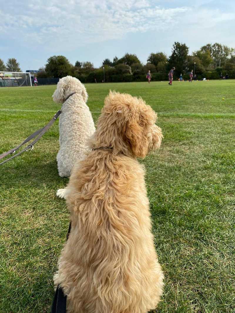 Match Report - CITY LADIES U14 RUBIES - 19 Sep 2020