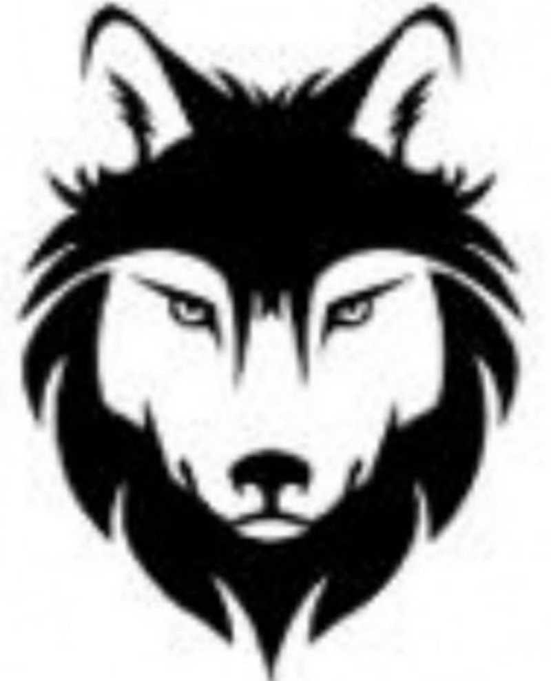 CCS Wolves